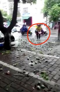 玉林车祸最新爆料视频,现场惊心动魄，细节披露引关注